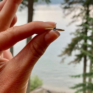 Oceana Ring